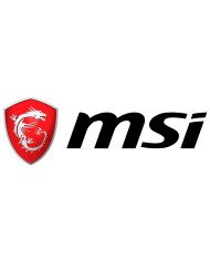 MSI